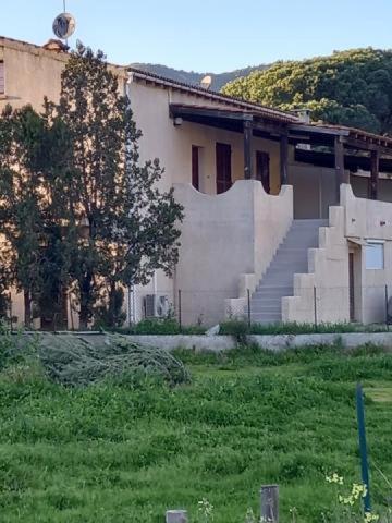 U Palmu Apartment Sagone  Exterior photo